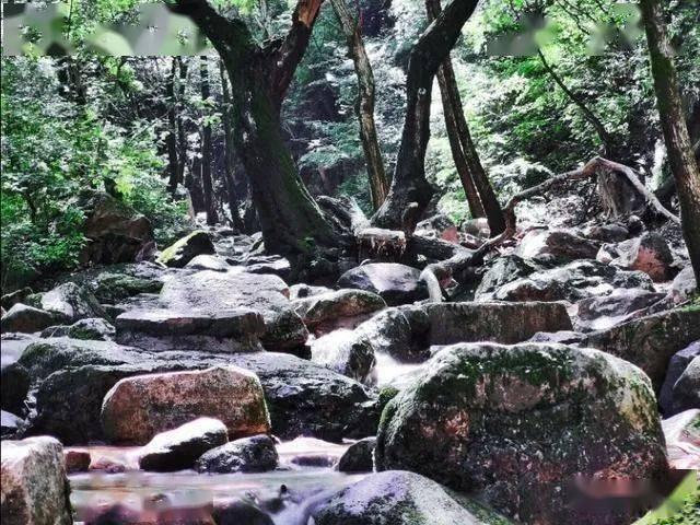 火拼萌萌消