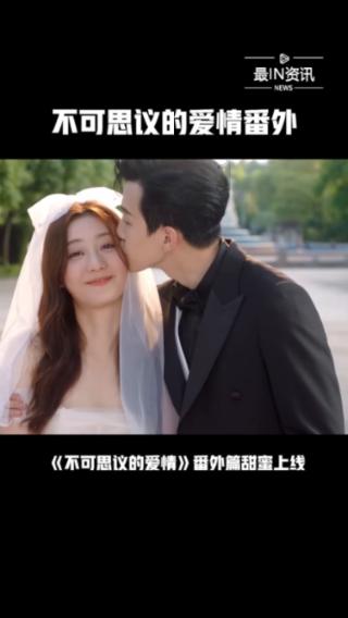 紫色系